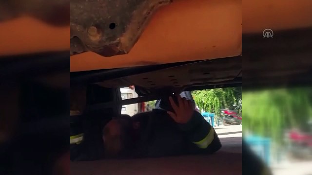 Sanatçı Sümer Ezgü'nün otomobilinin motoruna giren kedi yavrusu, itfaiye ekiplerince çıkarıldı - ANTALYA