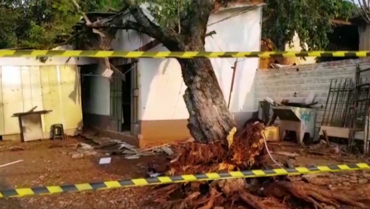 Árvore cai sobre residência na Rua Pio XII e provoca danos; imóvel foi interditado