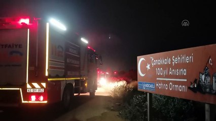 Çıkan yangında çam ağaçları yandı - KOCAELİ