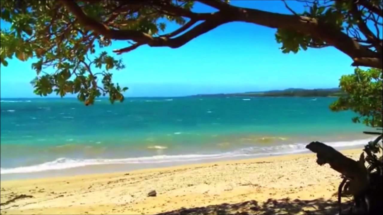 Chris Franke - Purple Waves