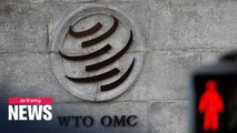Global trade volume to drop by 9.2% in 2020, less severe than expected: WTO