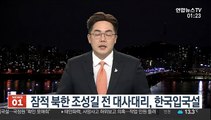 잠적 북한 조성길 전 대사대리, 한국입국설