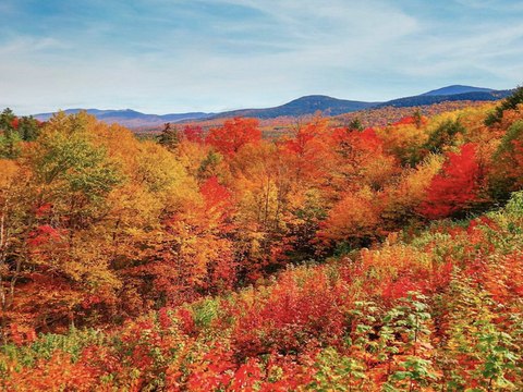 WANDERLUST! Best hikes to see fall colors in Arizona - ABC15 Digital