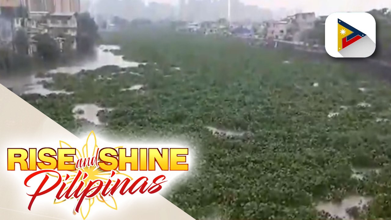 MMDA, nagsagawa ng cleaning operations sa Pasig River