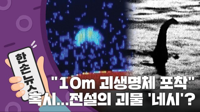 [15초 뉴스] 10m 괴생명체 포착 ...전설의 괴물 '네시'? / YTN