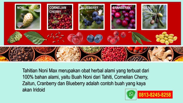 TNM Obat Vertigo WA 0819 1000 3012 (XL), Obat Jantung Herbal TNM