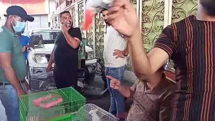 سوق الغزل . لبيع الحيوانات والطيور بانواعها واشكالها مع الاسعار