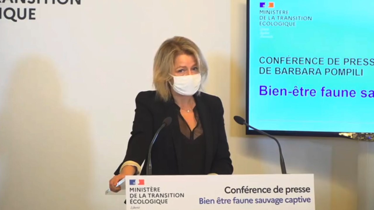 Pompili annonce l'interdiction "progressive" des animaux sauvages dans les cirques itinérants