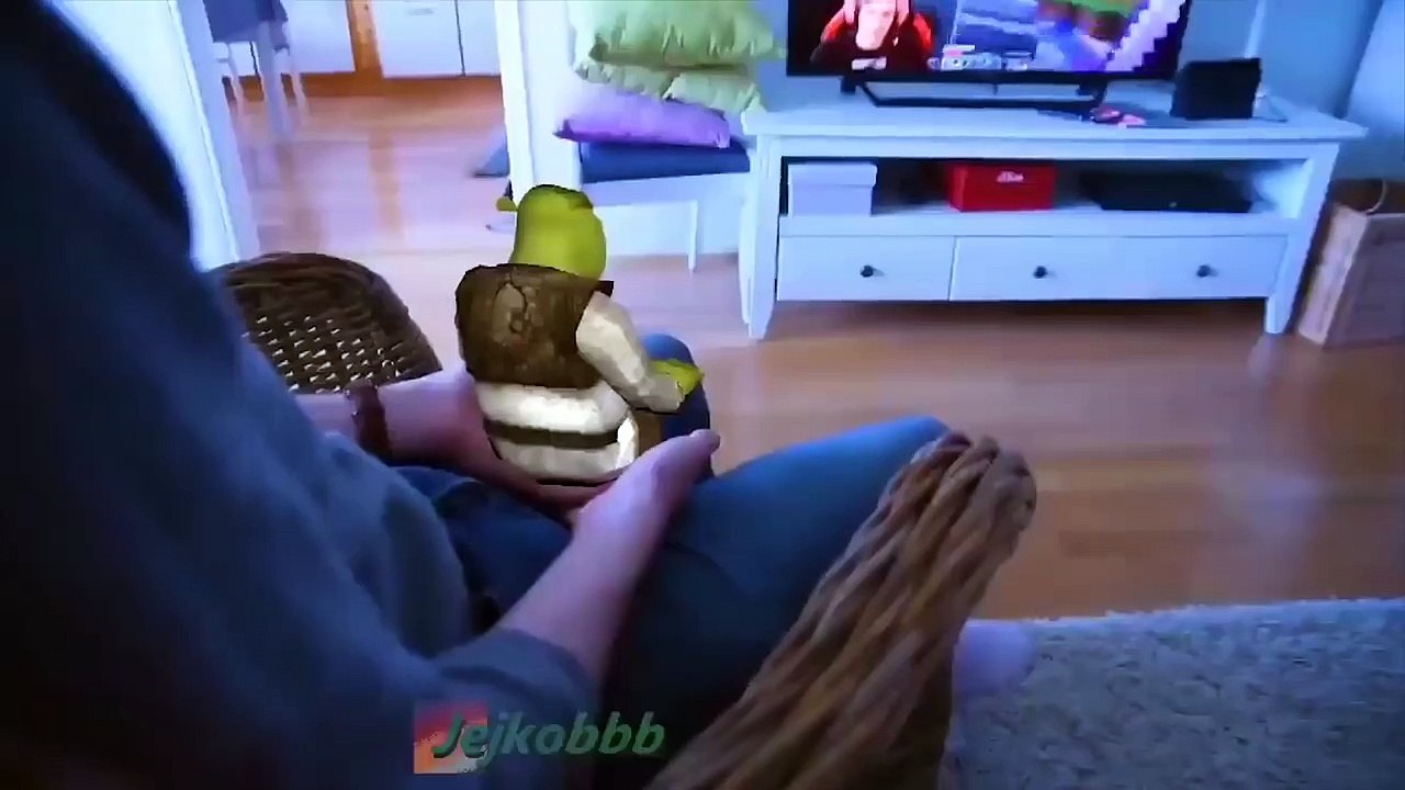 Virales divertidos