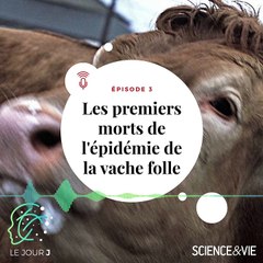 [PODCAST - Le Jour J - E03 ] Les premiers morts de l'épidémie de la vache folle