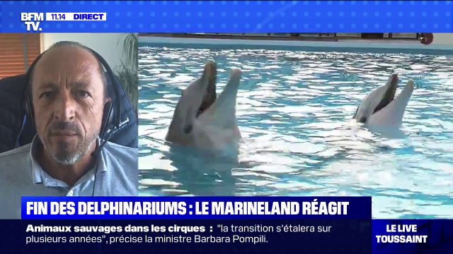 Le directeur de Marineland déplore l'absence de concertation avant les annonces de Barbara Pompili