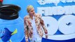 Ellen DeGeneres increasing perks for employees amid toxic workplace scandal _ Page Six News