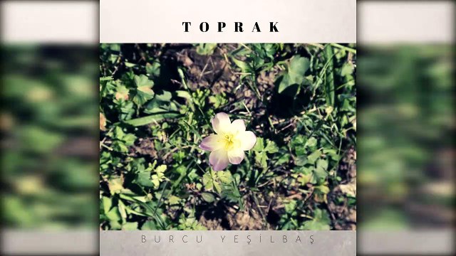 Burcu Yeşilbaş - Benim Yarim Çok Güzel (Official Audio)