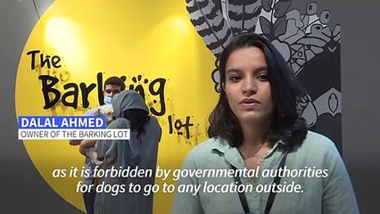 Saudi Arabia's first dog cafe delights pet lovers