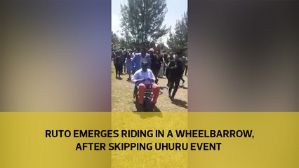 Ruto emerges riding in a wheelbarrow, after skipping Uhuru event