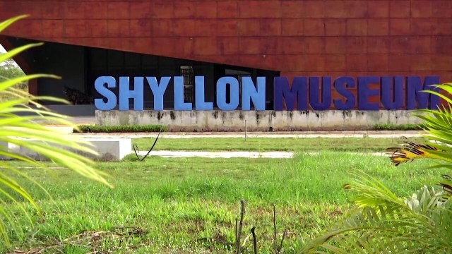 The 'glorious passion' of a Nigerian art collector