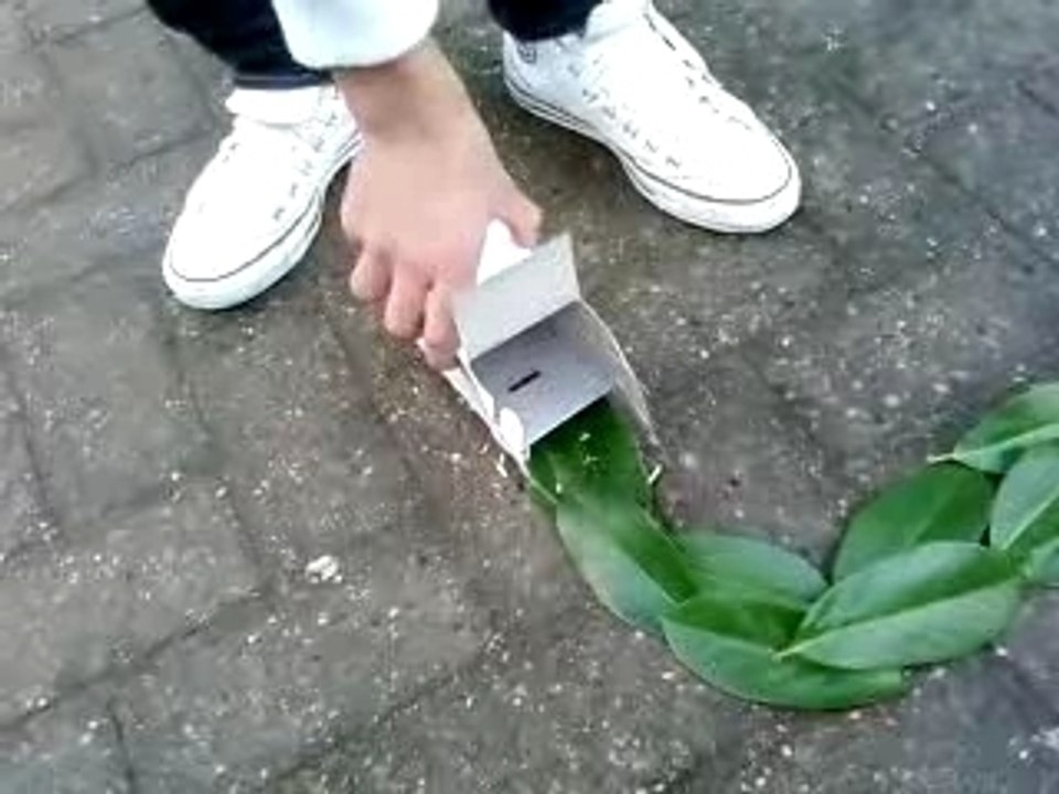 Jackouille 2 xD