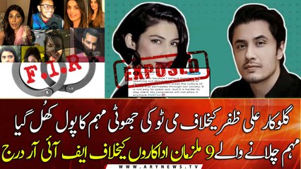 FIA’s special court registers FIR against Meesha Shafi, others