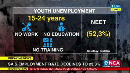 SA's employment rate declines to 23.3%