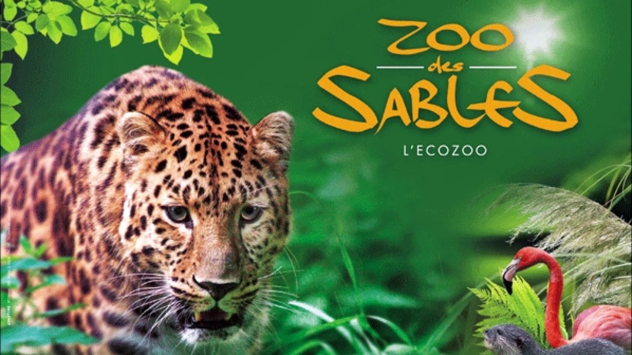 Visite au Zoo des Sables D ' Olonne ( Vendée )  , Lundi 28 Septembre 2020