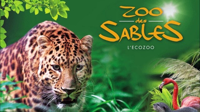 Visite au Zoo des Sables D ' Olonne ( Vendée ) , Lundi 28 Septembre 2020