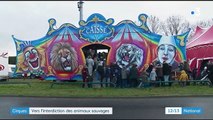 Cirques : la présence des animaux sauvages remise en question