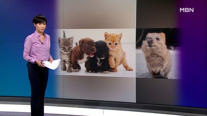 김주하의 9월 29일 '이 한 장의 사진'