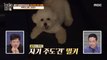 [HOT] Lim Chae-won & Choi Seung-kyung Family Happens to Puppy Milkie's Alarm, 공부가 머니 20200929