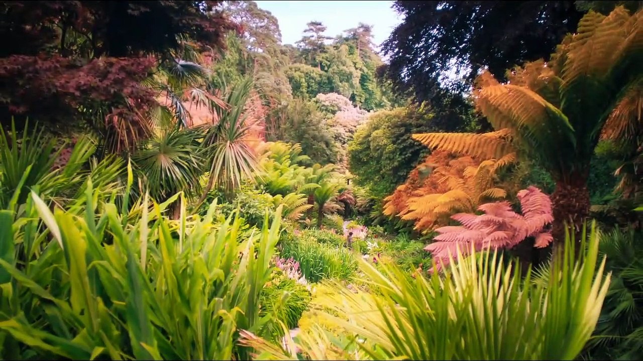 DER GEHEIME GARTEN Film - Colin Firth, Dixie Egerickx, Julie Walters, Jemma Powell, Maeve Dermody, Amir Wilson