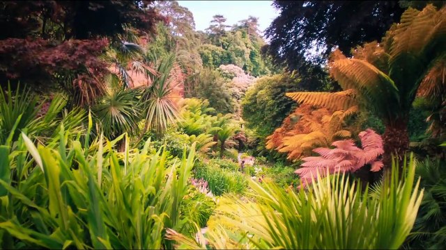 DER GEHEIME GARTEN Film - Colin Firth, Dixie Egerickx, Julie Walters, Jemma Powell, Maeve Dermody, Amir Wilson