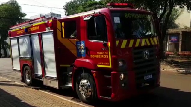 Bombeiros são chamados para capturar porco-espinho no Bairro Claudete