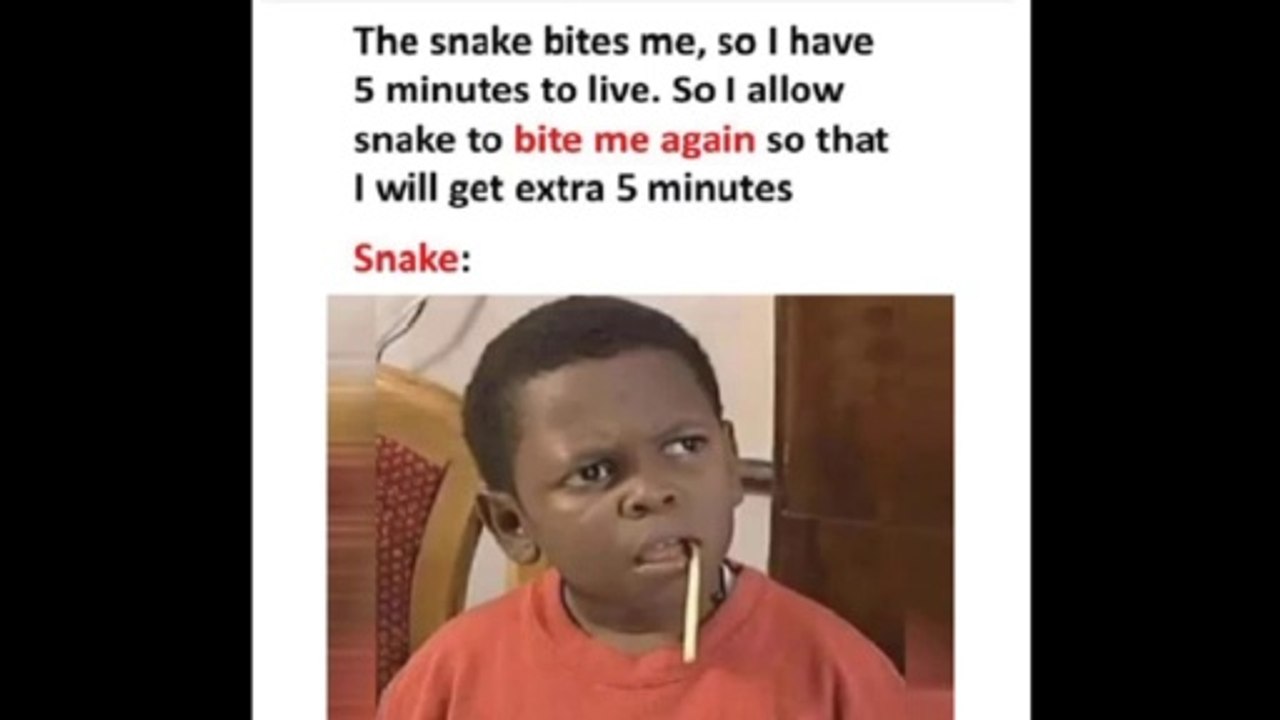 r/Dankmemes || Daily juicy memes | Funny Meme Photos Showing That Daily you laugh | Funny Memes