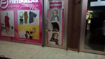 Bingöl'de ilçeyi istila eden böcekler, kanatlı karınca çıktı