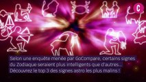 Quel est le signe astro le plus intelligent ?