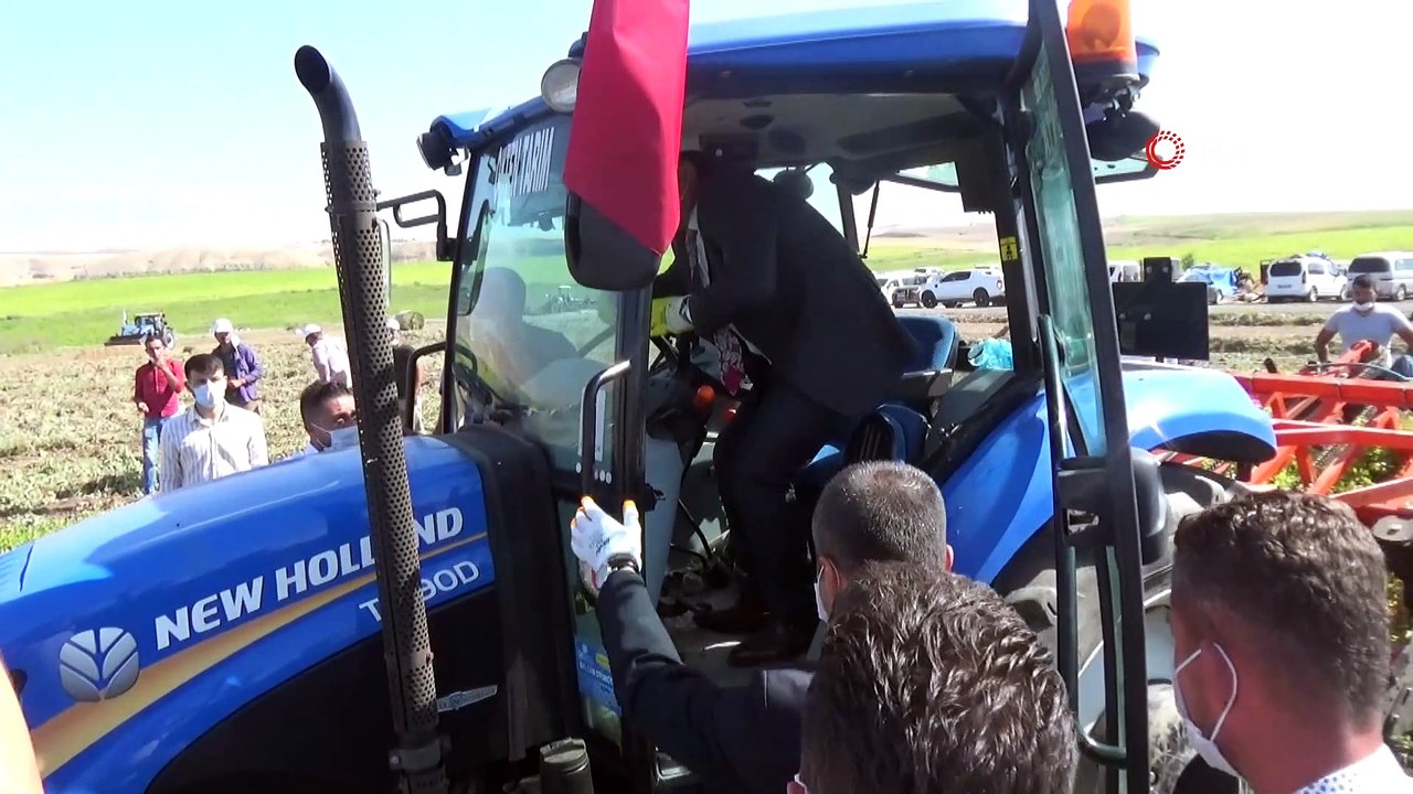 Silopi’de yer fıstığı hasat şenliği başladı