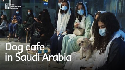 Download Video: First dog cafe opens in conservative Saudi Arabia