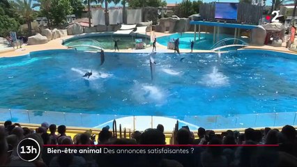 Bien-être animal : le gouvernement prend position pour la protection des animaux sauvages