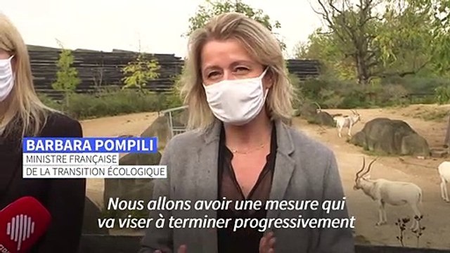 Pompili: fin progressive des animaux sauvages dans les cirques itinérants