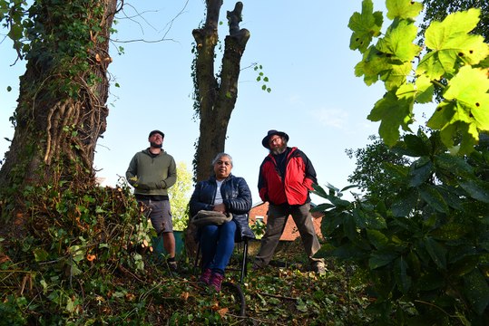 Protesters try to protect trees in Ashton