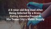 A 6-year-old Boy Died After Being Infected by a Brain-Eating Amoeba Found in His Texas Cit