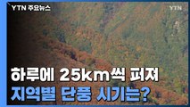 단풍, 하루에 25km씩 퍼져...10월 중순 전국 울긋 불긋 / YTN