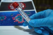 EEUU distribuirá millones de pruebas rápidas de coronavirus | El Diario en 90 segundos
