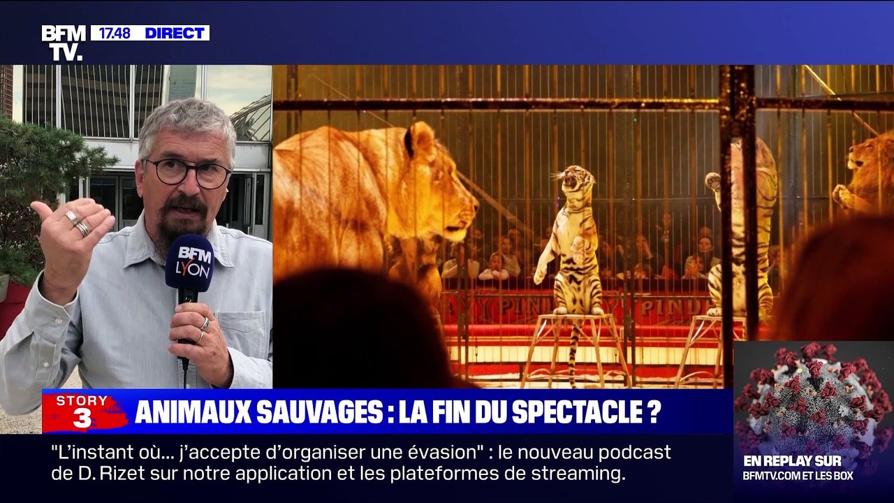 Story 3 : Le gouvernement annonce la fin des animaux sauvages dans les cirques - 29/09