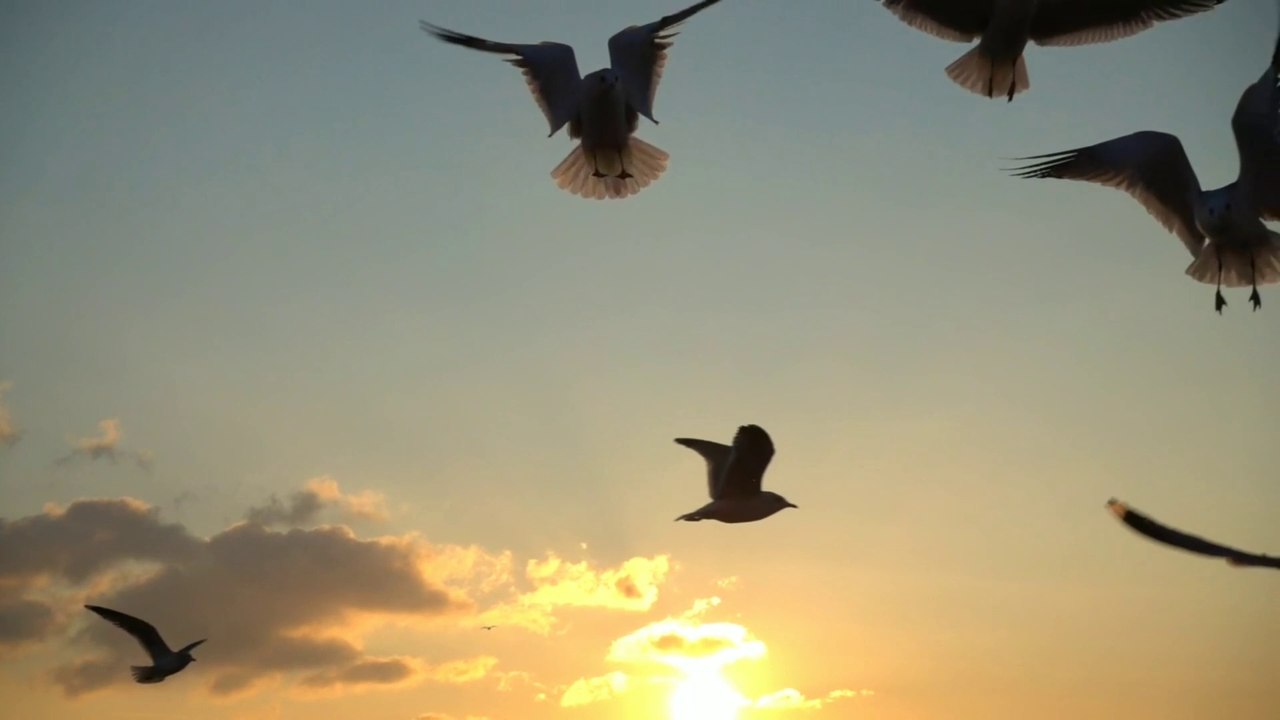 Beautiful sunset