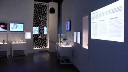 CosmoCaixa presenta la exposición Print3D