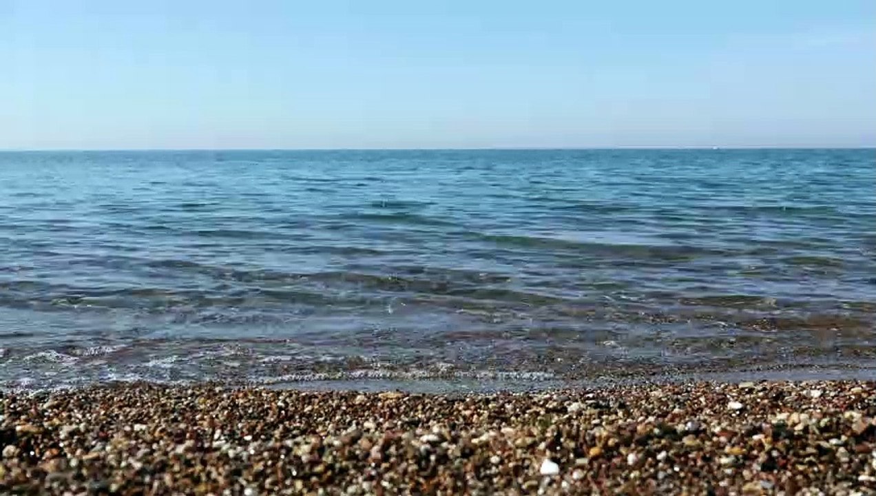 Beach Aerial shot over a sandy coastline natural beautiful royalty Free Stock no copyright video Free for commercial use dron dron aerial view (6)