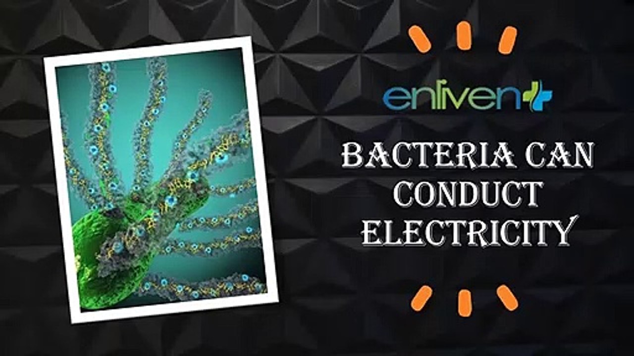 Bacteria can conduct electricity.