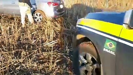 PRF apreende mais de 200 quilos de maconha em Marechal Cândido Rondon