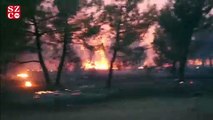 Manisa’daki orman yangınında 6 kişi yaralandı