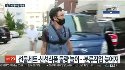 코로나에 더 늘어난 물량…택배기사들 "바쁘다 바빠"